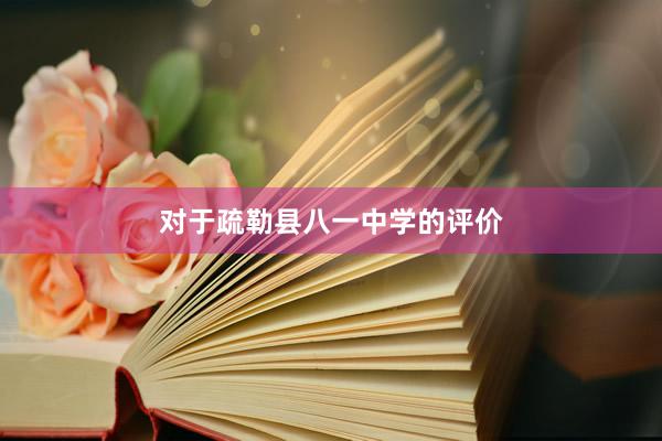 对于疏勒县八一中学的评价