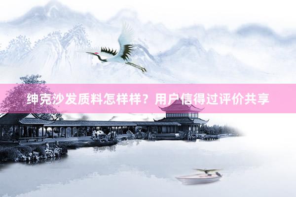 绅克沙发质料怎样样？用户信得过评价共享